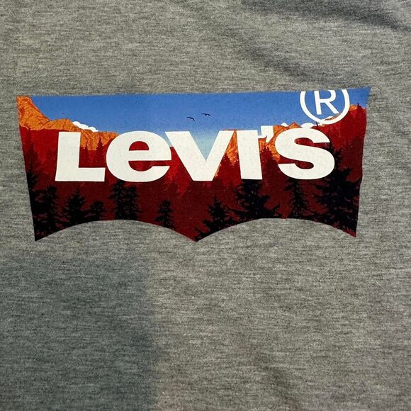 Levi's grey with Logo t-shirt. Perfect for outdoors and fall layering.  Size M. - Picture 2 of 5